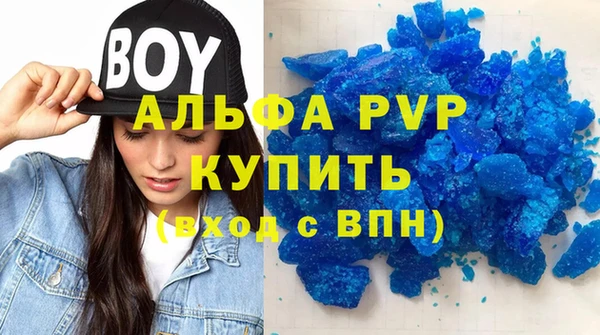 индика Нязепетровск