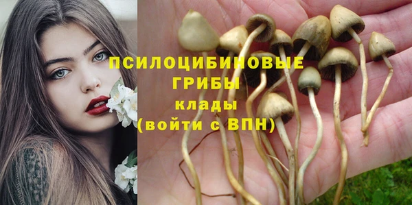 прущий лед Осташков