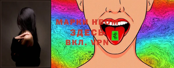 индика Нязепетровск