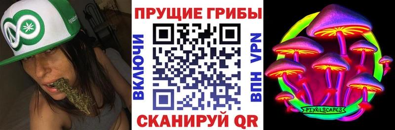 Псилоцибиновые грибы Magic Shrooms  KRAKEN вход  Кодинск  купить наркотики цена 
